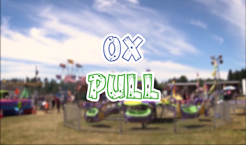 Field Days, 2017 – Ox Pulls