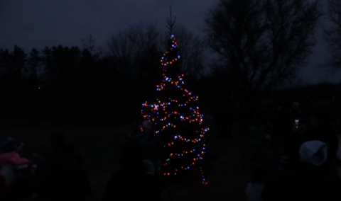Festival of Lights, 2017 – Tree Lighting