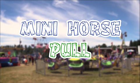 Field Days, 2017 – Mini Horse Pull
