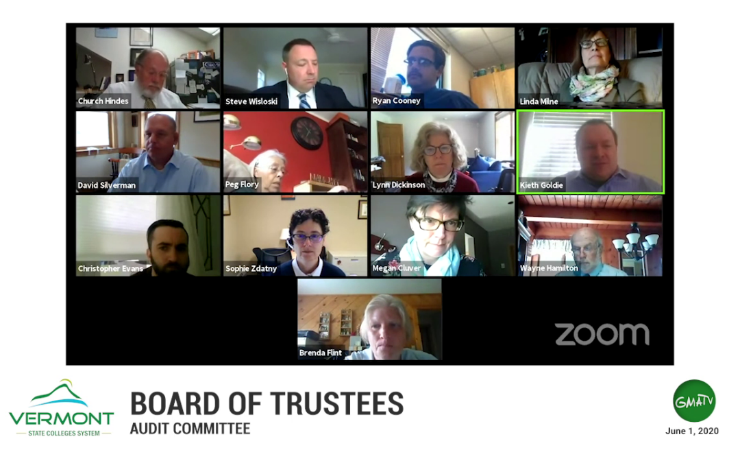 VSCS Board of Trustee Special Meeting, 6/1/20 (Audit Committee)