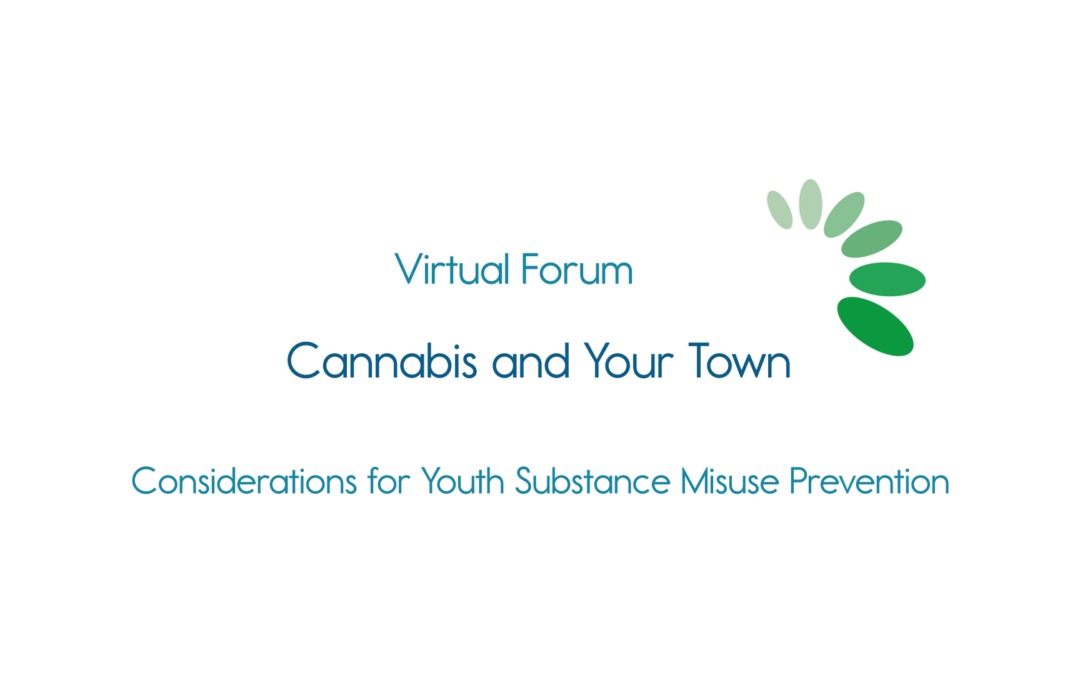 Healthy Lamoille Valley, Cannabis and Your Town