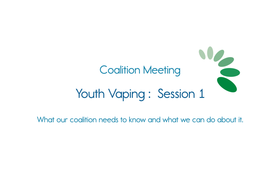 Healthy Lamoille Valley, Youth Vaping: Session 1