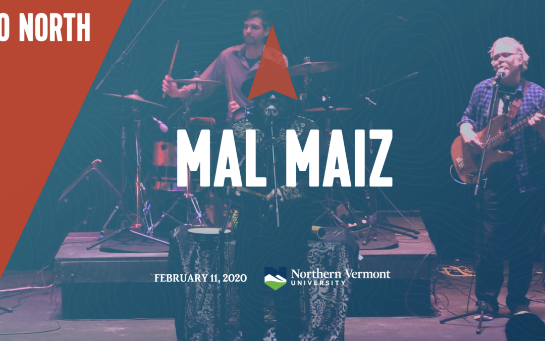 Live From Dibden, 2020 – Mal Maiz