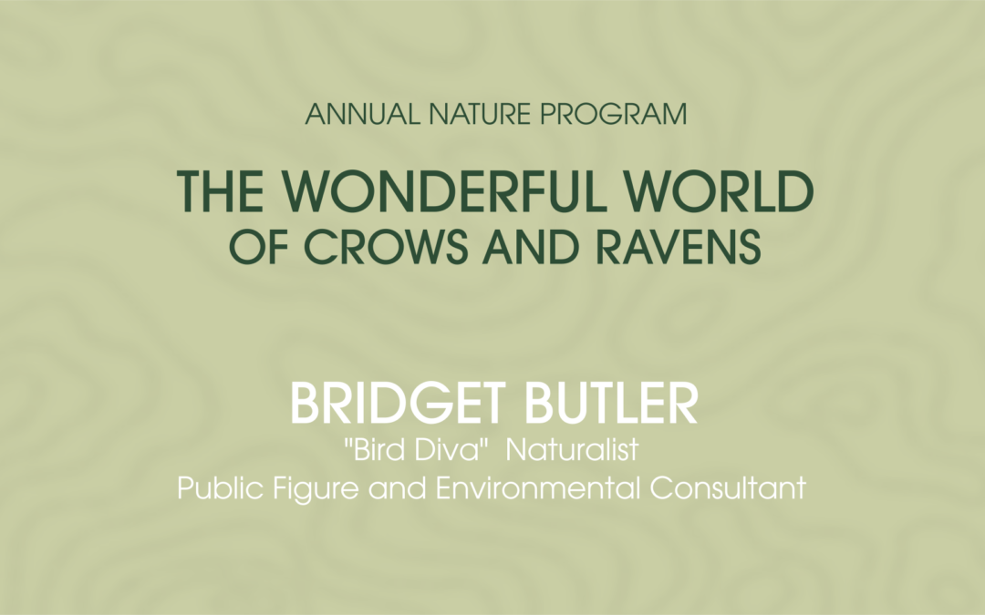 The Wonderful World of Crows and Ravens with Bird Diva Bridget Butler